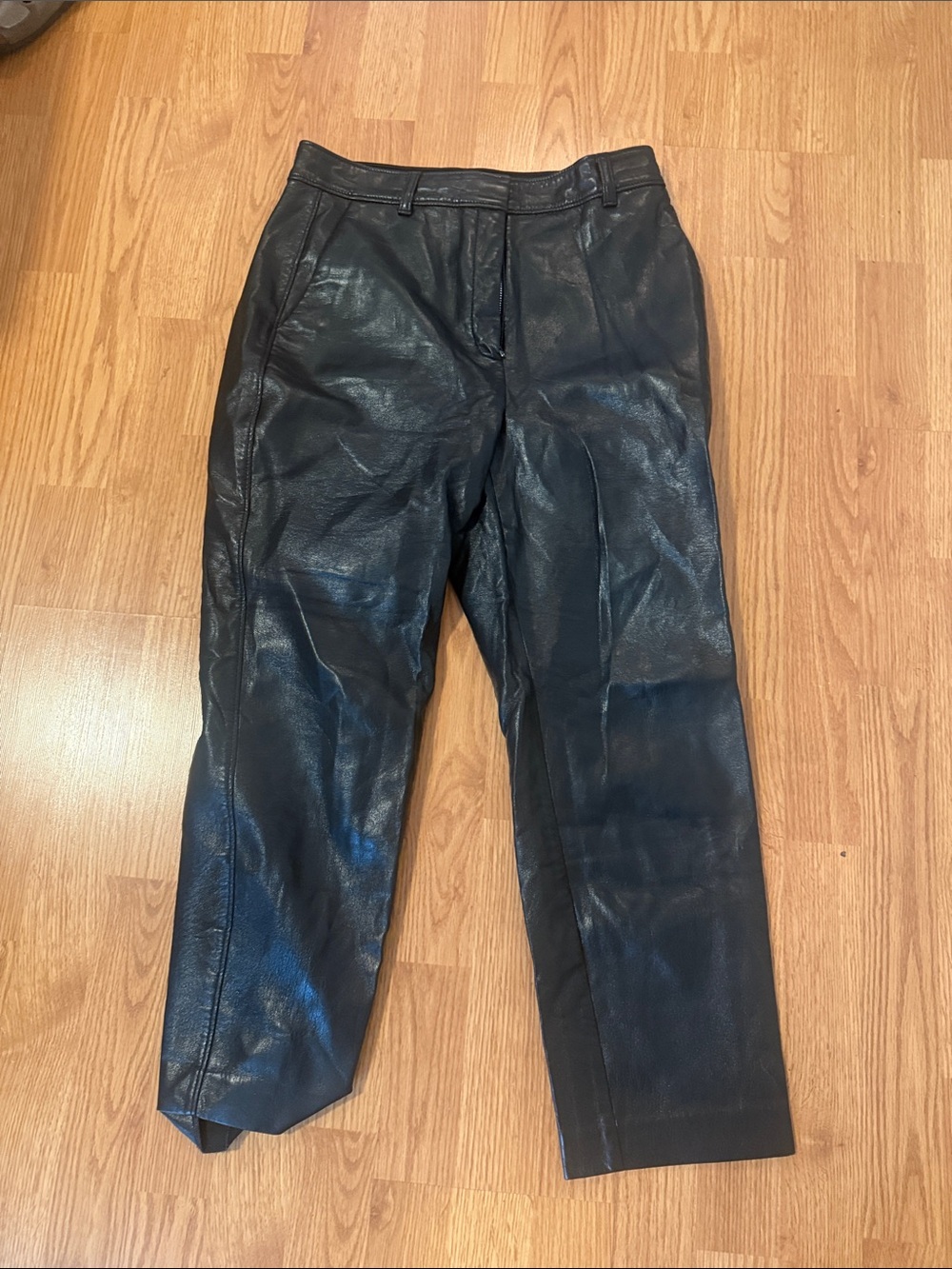 Aritzia Babaton Leather High-Waist Pants